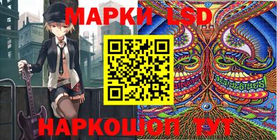 молекула духа Будённовск