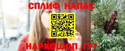 молекула духа Будённовск