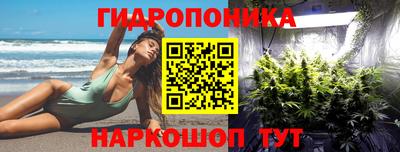 молекула духа Будённовск