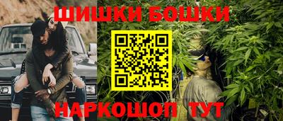 молекула духа Будённовск