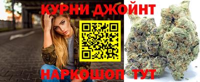 молекула духа Будённовск