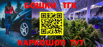 молекула духа Будённовск